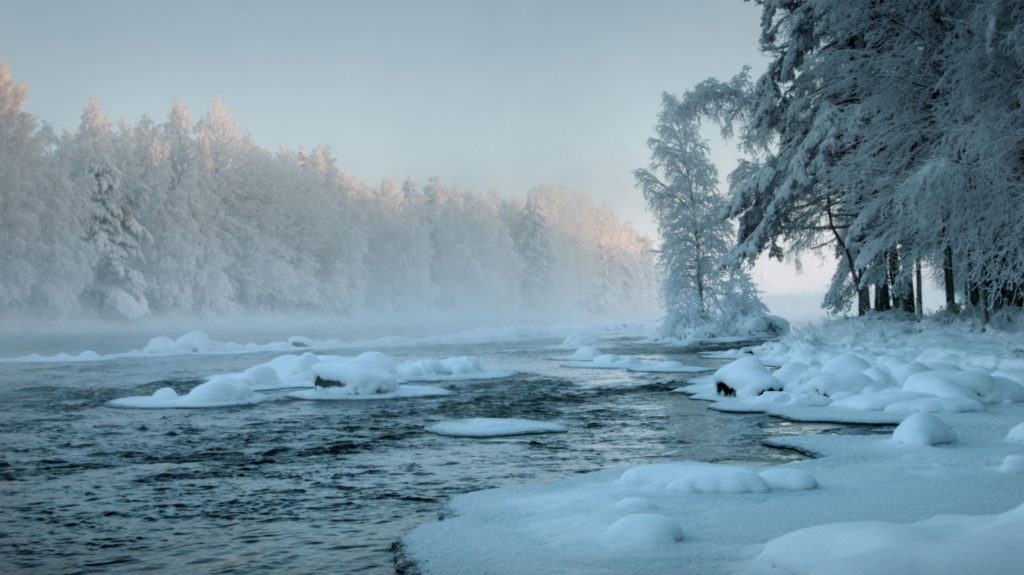 Icy winter Forest and river