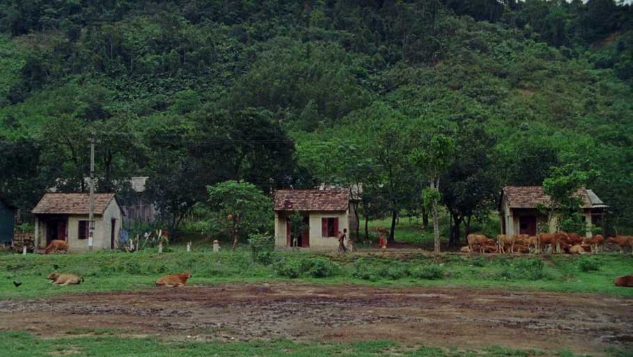 Vietnam Farmland