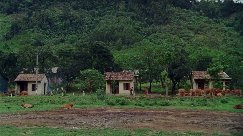 Vietnam Farmland